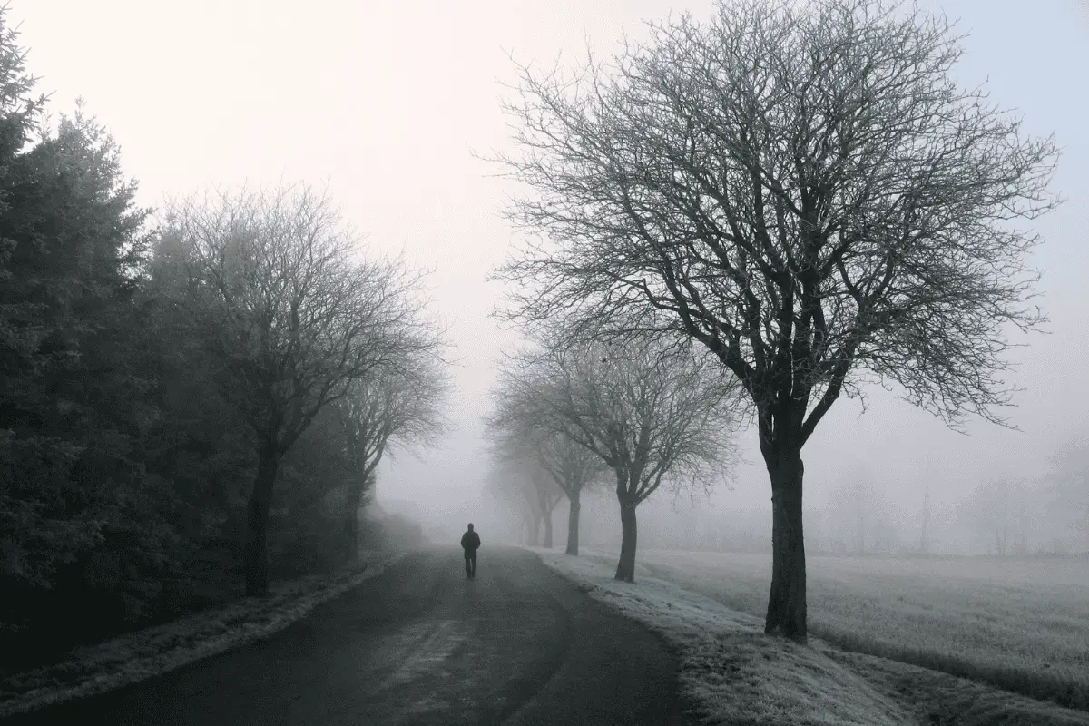 alone shayari in english