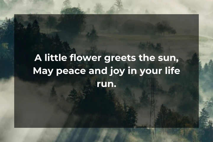 Good Morning Shayari In English 17
